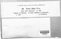 Image Associated With the Occurence